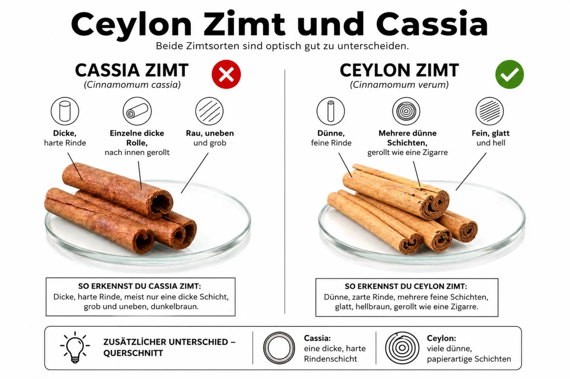 Vergleichsbild: Cassia- und Ceylon-Zimtstangen für das Aquarium aus dem Sortiment von Aquarissimo